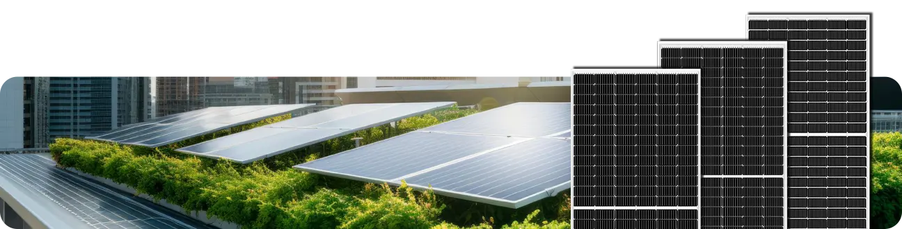 Sustainability